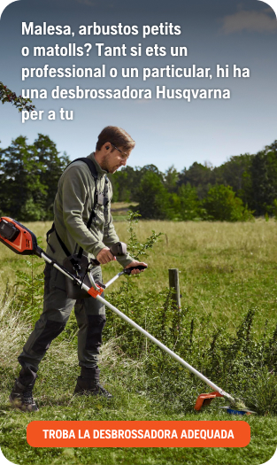 Encuentra tu desbrozadora