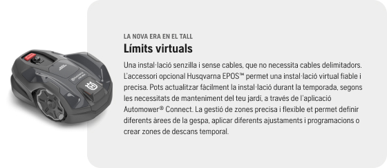 Límites virtuales