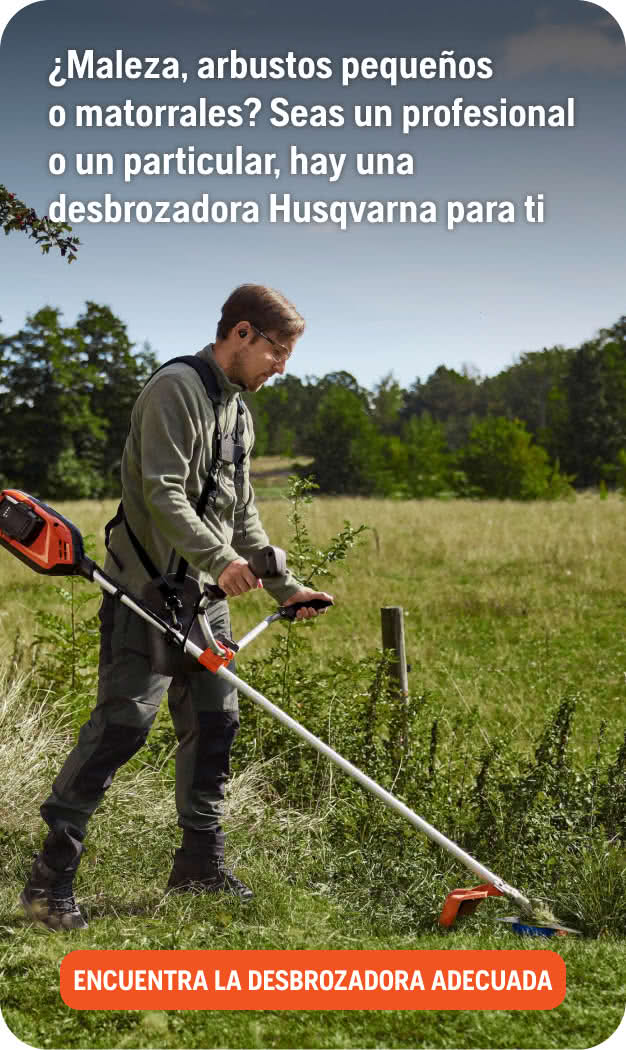 Encuentra tu desbrozadora