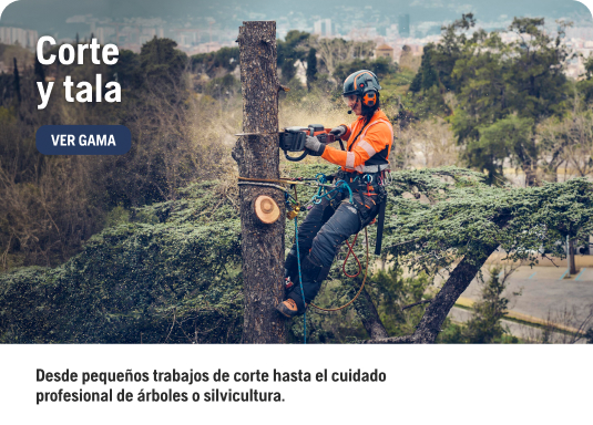 Corte y Tala