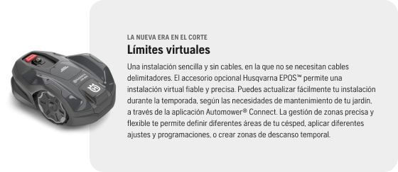 Límites virtuales