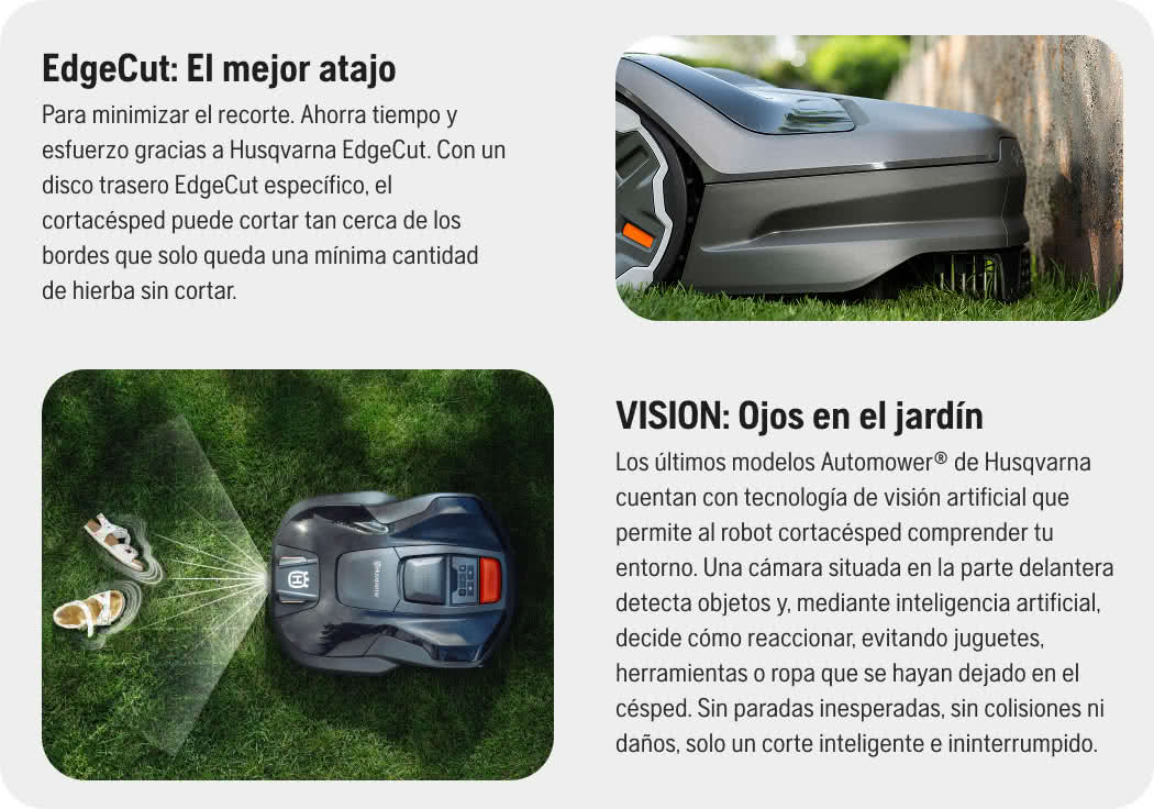 Diseña tu jardín zona por zona