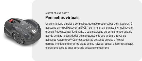 Límites virtuales